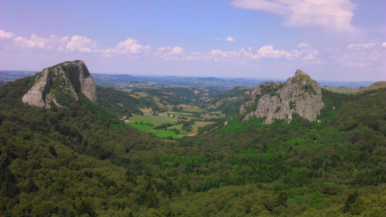 Tulipe, Appartement 5 Personnes, Entre Sancy Et Volcans D'Auvergne 奥尔西瓦勒 外观 照片