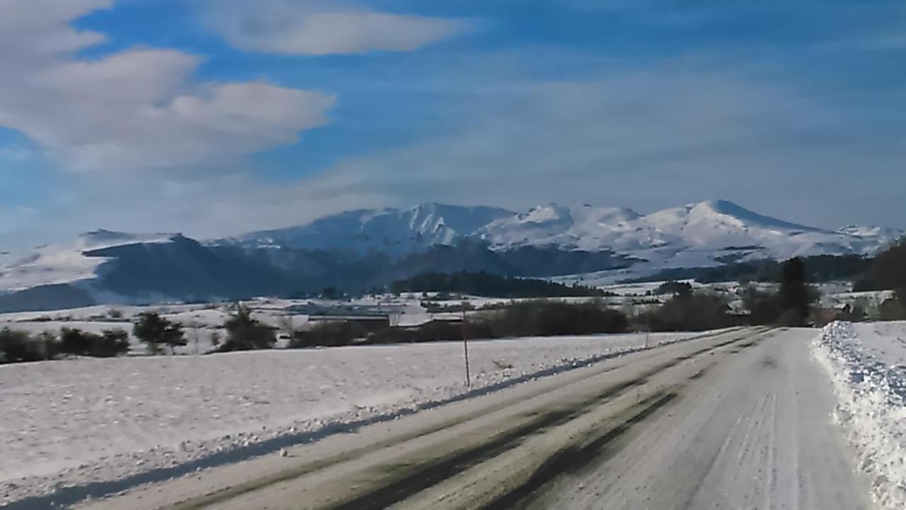 Tulipe, Appartement 5 Personnes, Entre Sancy Et Volcans D'Auvergne 奥尔西瓦勒 外观 照片