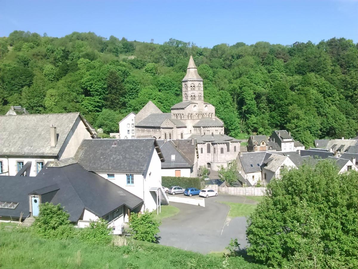 Tulipe, Appartement 5 Personnes, Entre Sancy Et Volcans D'Auvergne 奥尔西瓦勒 外观 照片