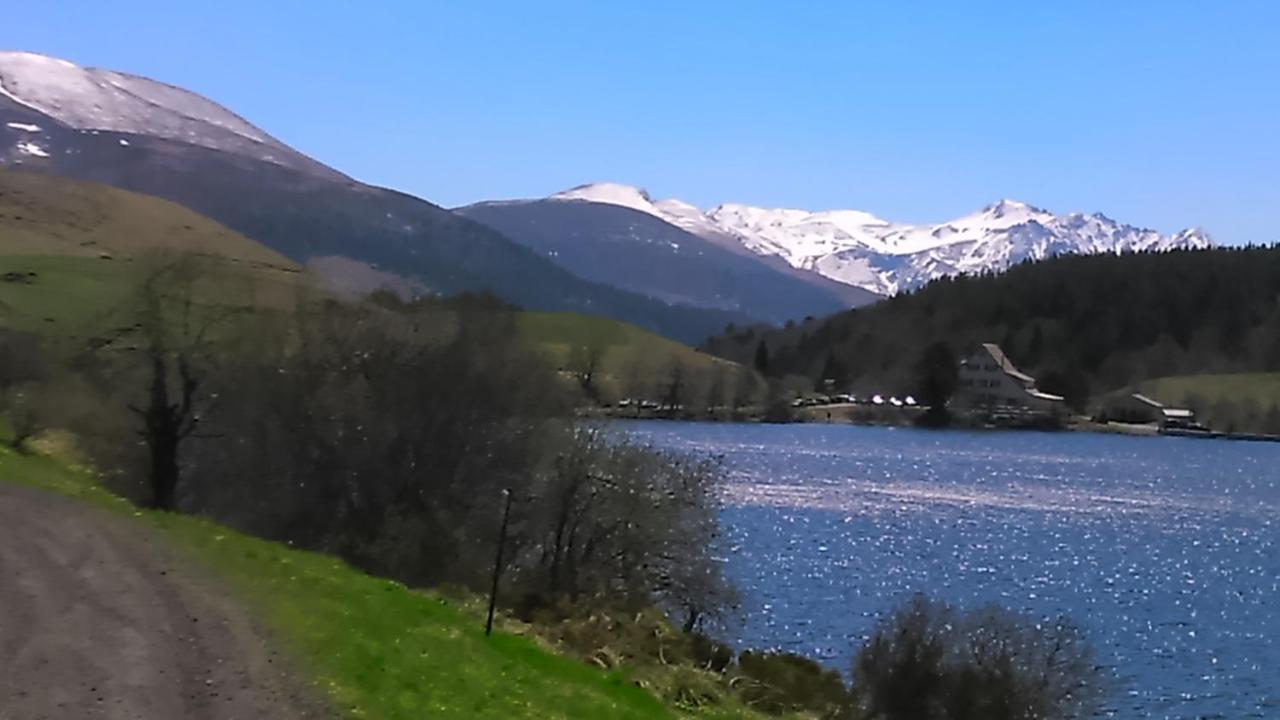 Tulipe, Appartement 5 Personnes, Entre Sancy Et Volcans D'Auvergne 奥尔西瓦勒 外观 照片