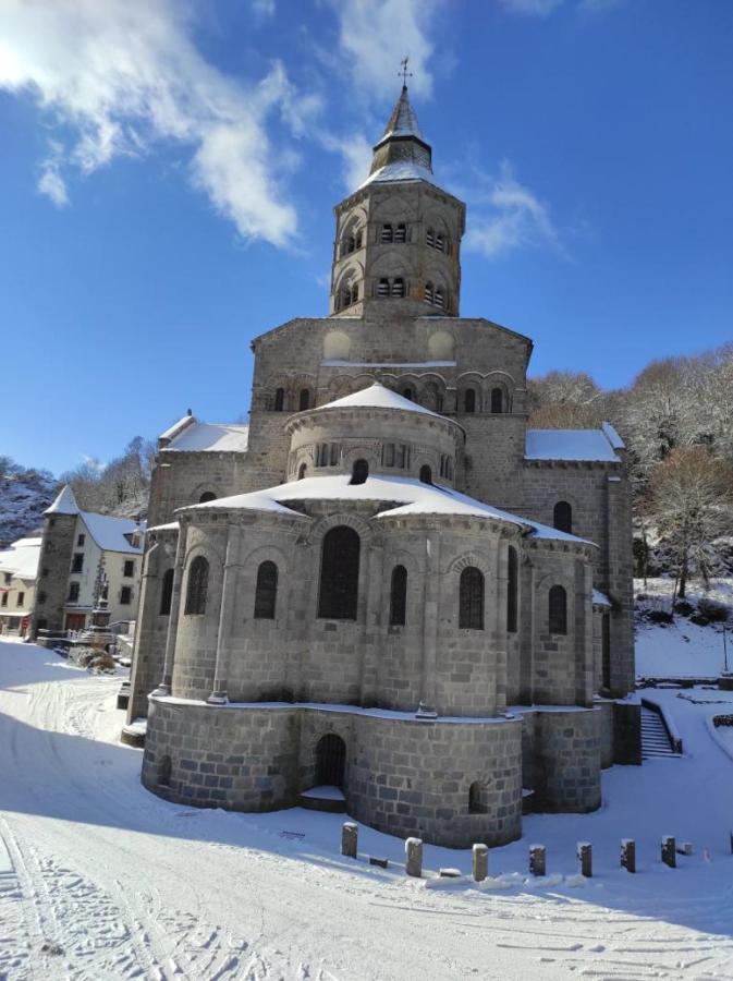 Tulipe, Appartement 5 Personnes, Entre Sancy Et Volcans D'Auvergne 奥尔西瓦勒 外观 照片