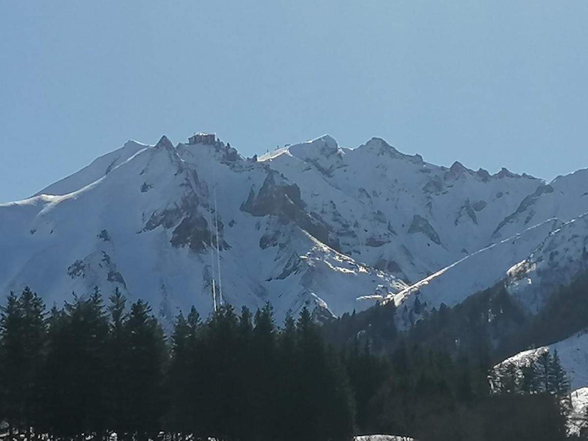 Tulipe, Appartement 5 Personnes, Entre Sancy Et Volcans D'Auvergne 奥尔西瓦勒 外观 照片