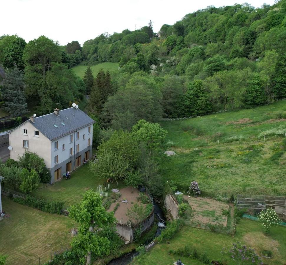 Tulipe, Appartement 5 Personnes, Entre Sancy Et Volcans D'Auvergne 奥尔西瓦勒 外观 照片