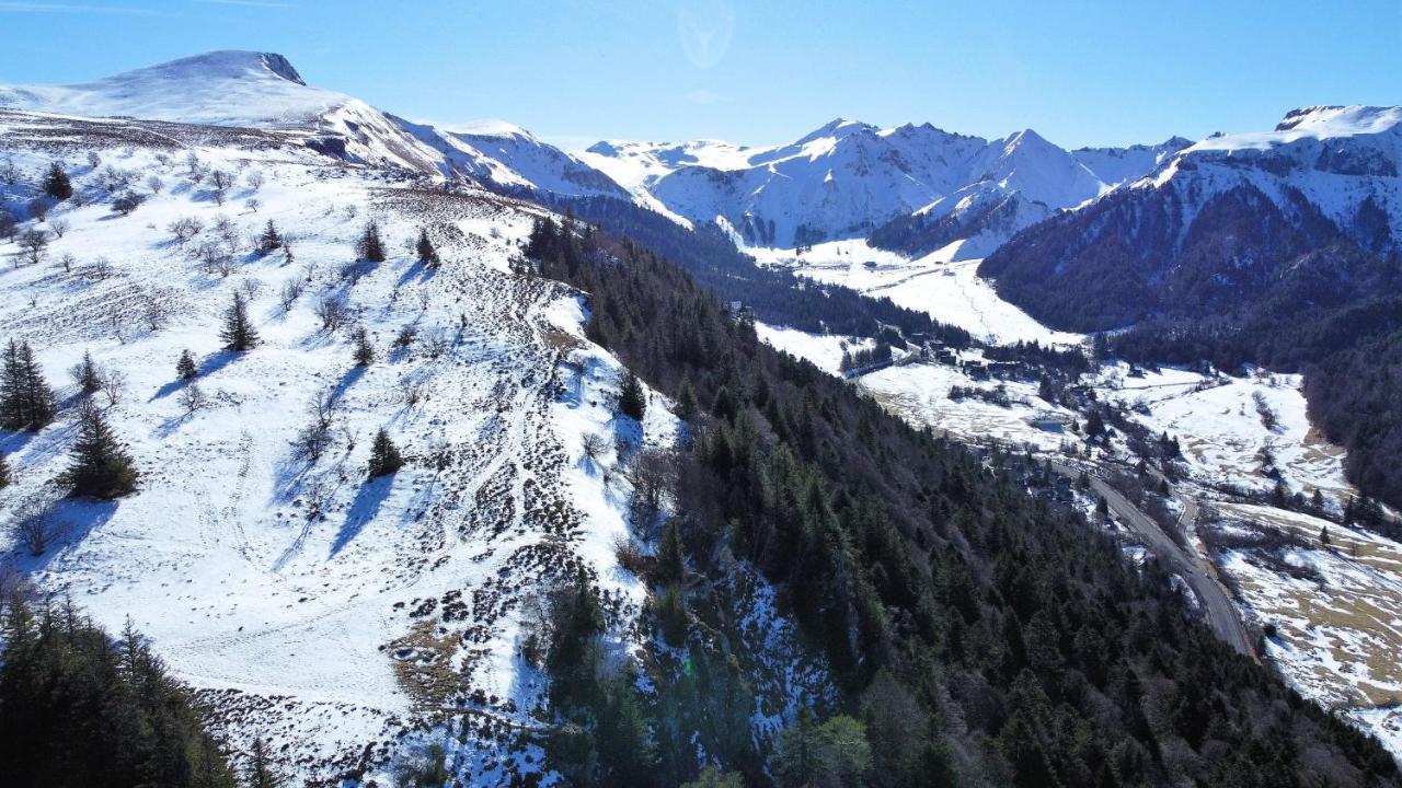 Tulipe, Appartement 5 Personnes, Entre Sancy Et Volcans D'Auvergne 奥尔西瓦勒 外观 照片