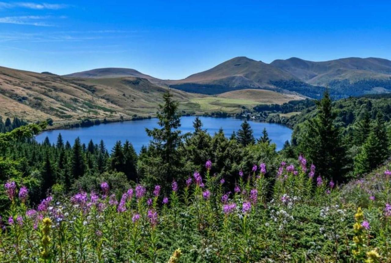 Tulipe, Appartement 5 Personnes, Entre Sancy Et Volcans D'Auvergne 奥尔西瓦勒 外观 照片
