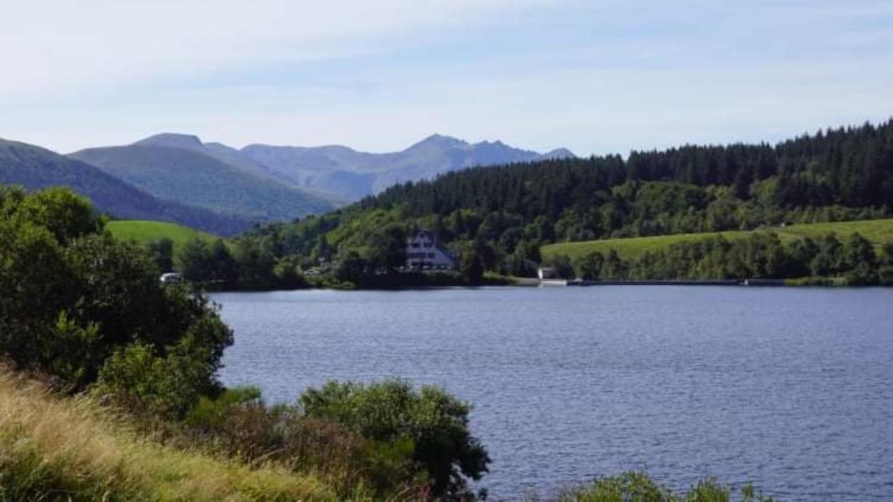 Tulipe, Appartement 5 Personnes, Entre Sancy Et Volcans D'Auvergne 奥尔西瓦勒 外观 照片
